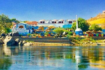 Nubian Village Day Trip with Camel Ride from Aswan