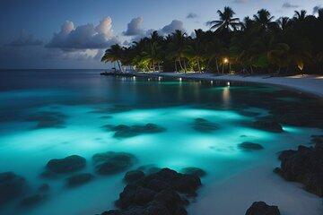Private Bioluminescent Bay Tour