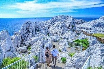 Day Trip to Wakayama Prefecture with Fruits Picking Activity