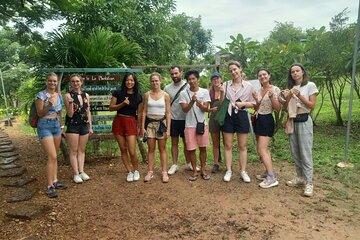 Pepper Plantation Tour & Kayaking