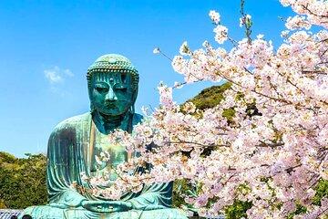 From Tokyo: Kamakura and Enoshima One Day Tour