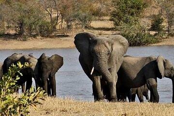 4-Day Private Kruger National Park & Panorama Route Adventure