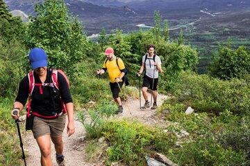 Half Day Hiking Tour in the Drakensberg Mountains