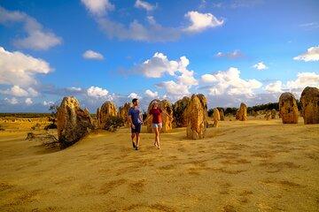 Pinnacles+Lancelin Sand Dune Impression Day Tour from Perth