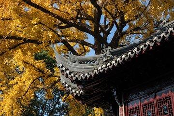 Yu Garden Admission Ticket
