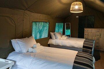 Johannesburg Victoria Falls Shared 7-Day Trip Experience