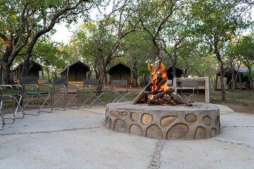 5 Day Glamping Safari in Kruger National Park