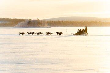 Arctic Husky Safari Self Drive Adventure