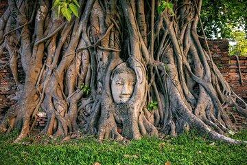 From Bangkok to Ayutthaya One Day Tour