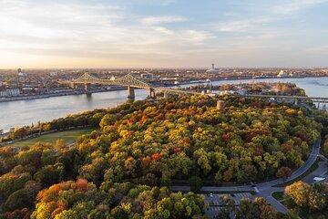 Ultimate Private Montréal City Tour: Culture, Views, Local Flavor