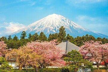Private Mt. Fuji and Hakone Day Trip from Tokyo