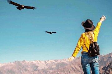 Full Day Tour Mirador DE los Condores EN Chonta from Cusco