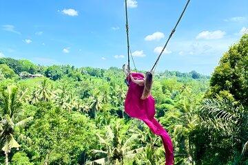 Bali Taman Grya Beji Waterfall and Jungle Swing Private Tour