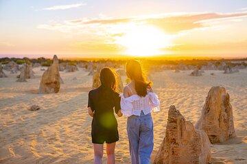 Pinnacles Desert Lobster Tour from Perth