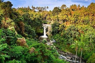 Bali Full-Day Private Tour: Waterfall, Volcano & Hot Springs