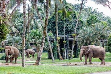 Bali Nature & Spirit: Rice Terraces, Temples & River Adventure
