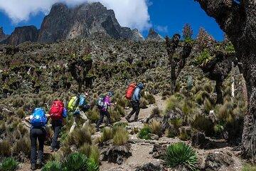 Nairobi to Mount Kenya Full Day Private Tour