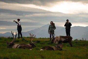 Private Hiking Tour at the Fjord with BBQ