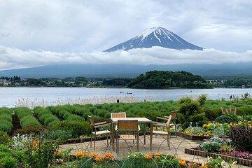 Tokyo: Mt. Fuji 1 Day Bus Tour with English/ Spanish Guide