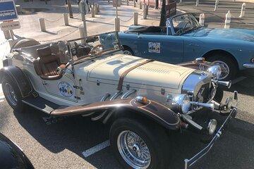Thrill Ride to Monaco for Car Enthusiasts from NICE