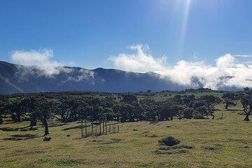 Madeira West Coast Wonders Tour