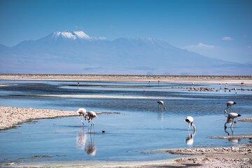 Red Stones and High Plains Tour from San Pedro