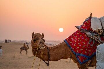 Pushkar Day Trip from Jaipur with Sunset and Aarti