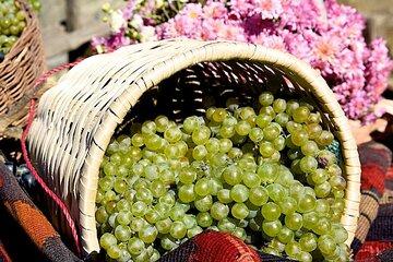 Rtveli Grape Harvest Festival Tour in Kakheti Georgia