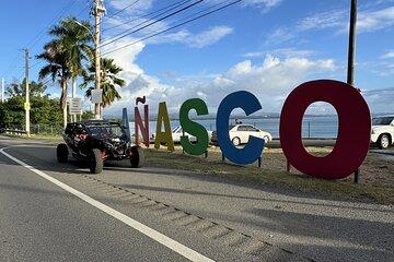 Añasco and Bunny Fever Tour Experience and Adventure
