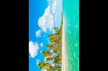 Saona Island Adventure in Punta Cana
