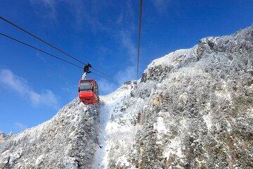 Dazzling Snow View Frozen Tree & Nabana Sato from Osaka