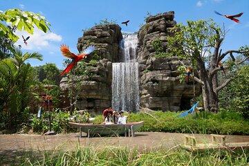 Bird Paradise Singapore Zoo Adventure Pass