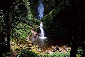 One Day Nyungwe Zipline, Canopy and Ndambarare Waterfall