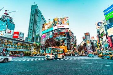 10-Day Private Tour of Tokyo, Hakone, Kyoto & Osaka