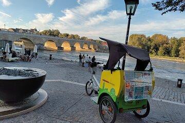 60min. Regensburg Rickshaw Pedicab City Excursion tuktuk oldcity