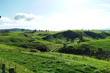 12 Day New Zealand Private Tour from Auckland to Stewart Island