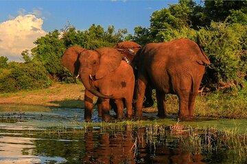 10 Days Overland Tour from Cape Town to Johannesburg