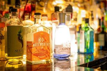 Polish Gin Tasting Tour