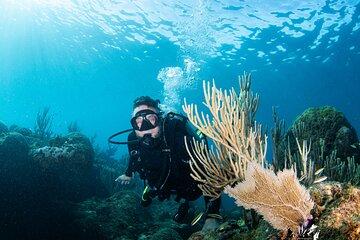 Experience Scuba