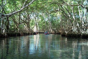 Blue Lagoon Adventure in Puerto Plata