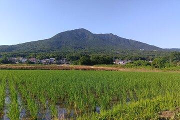 Tokyo Day Trip to Mt. Tsukuba: Visit a Hidden Gem in Rural Japan