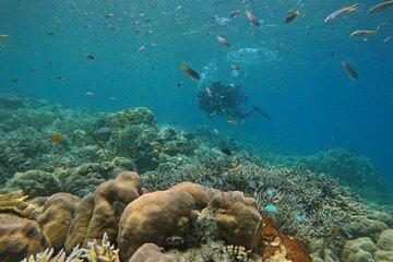 Boat Diving at Tribe Gate Andaman