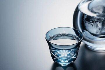 Kyoto Newly Opened Private Sake Tasting - Sanjo Chasuian
