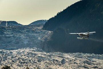 Taku Lodge Feast & 5-Glacier Seaplane Discovery