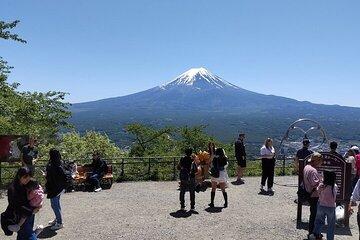 Lake Kawaguchi, Fuji Oishi Hana Terrace Guided Tour-Van