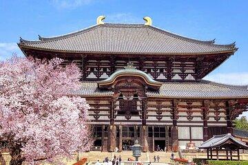 Osaka / Kyoto: Todai-ji, Nara Park, Fushimi Inari and Byodo-in