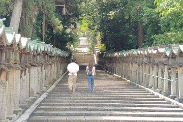 Nara: Hozan-ji Temple Guided Tour with Cable Car Ride