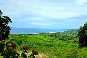 Private Island Tour of Barbados Fully Customizable Experience