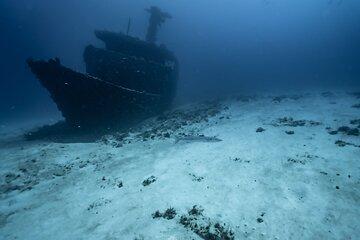 Half Day Dive Trip to the Cozumel reef
