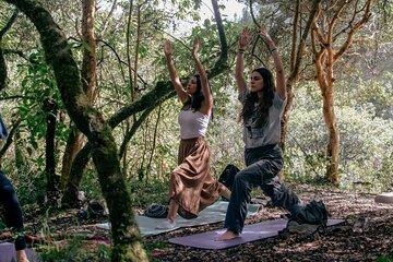 Private Yoga and Sonotherapy Session in the Sacred Valley
